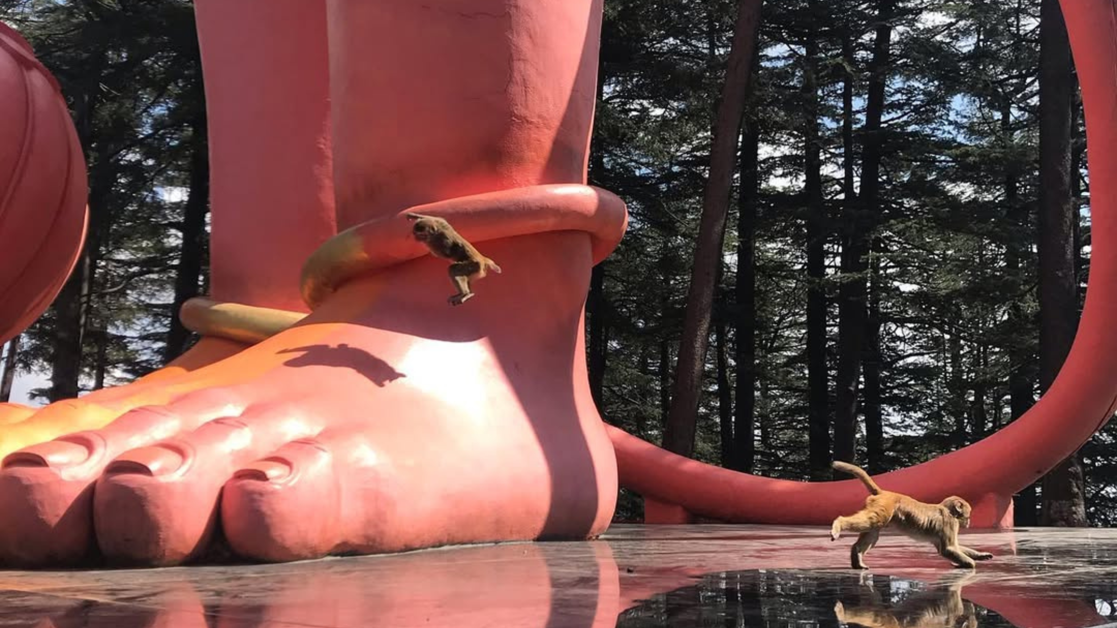 famous Hanuman temple Shimla