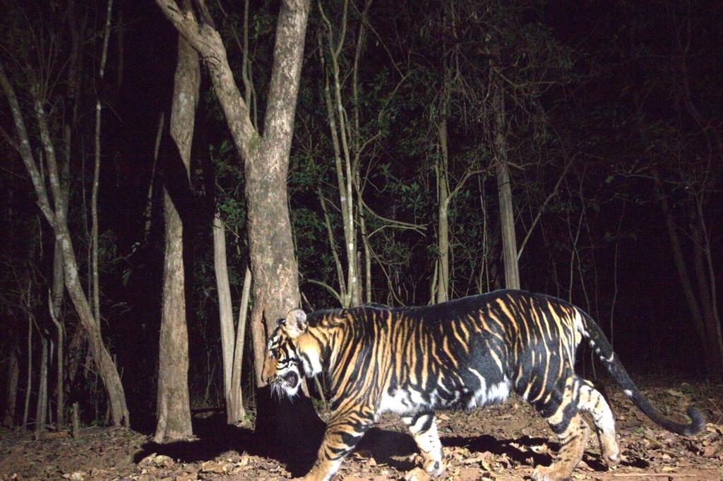 best places to visit in odisha - Shimlipal National Park